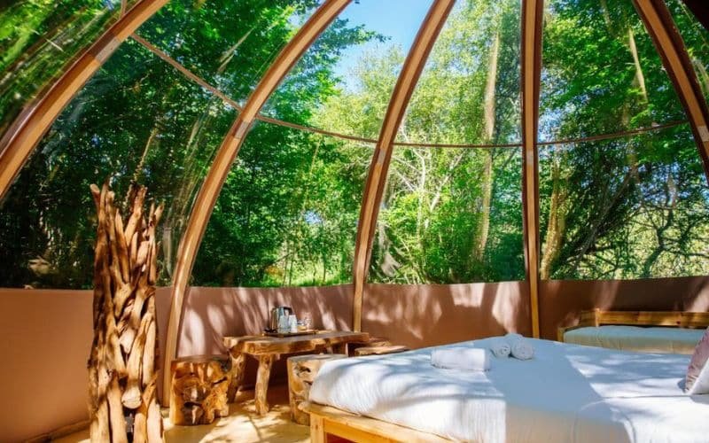 Unique Glamping Experience