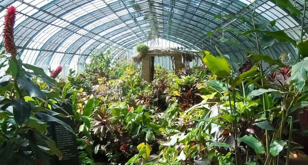 botanical expeditions