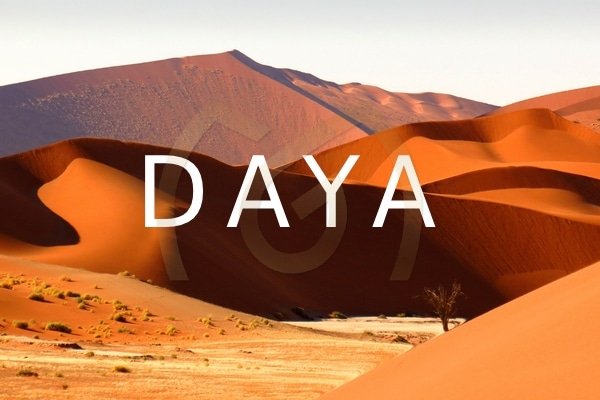 Daya experience gift card