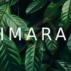 Imara experience gift card